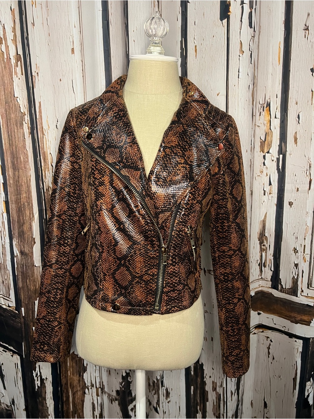 Faux Snakeskin Fall Jacket - Brown
